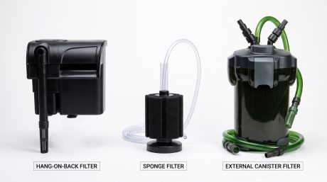 Three aquarium filter types shown together—a hang-on-back filter, a sponge filter, and a canister filter—for freshwater tank comparison