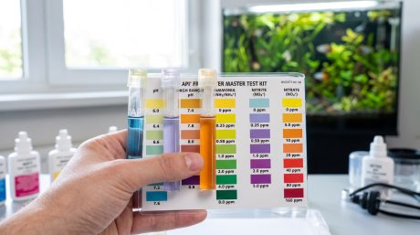 Liquid test kit with color comparison chart being used to test aquarium water for ammonia, nitrite, nitrate, and pH